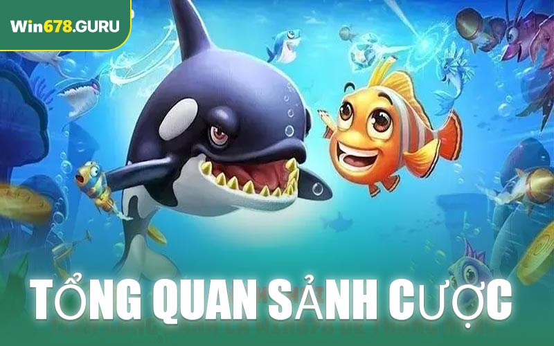Tổng quan sảnh cược